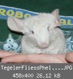 TegelerFliessPheline1805201201.JPG