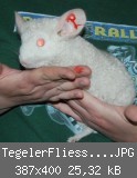 TegelerFliessPheline1805201203.JPG