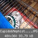 Cupido&Mephisto001.JPG