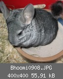 Bhoomi0908.JPG