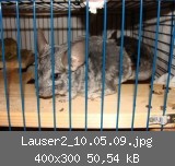 Lauser2_10.05.09.jpg