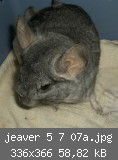 jeaver 5 7 07a.jpg