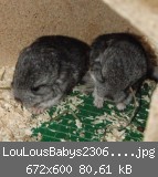 LouLousBabys23061060001.jpg