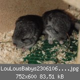 LouLousBabys23061060002.jpg