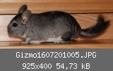 Gizmo1607201005.JPG