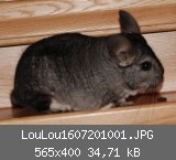 LouLou1607201001.JPG