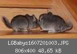 LGBabys1607201003.JPG