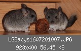 LGBabys1607201007.JPG