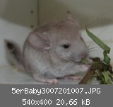 5erBaby3007201007.JPG