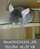 Maxe2302201102.JPG