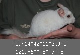 Tian1404201103.JPG