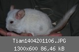 Tian1404201106.JPG