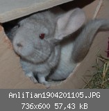 AnliTian1904201105.JPG