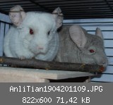 AnliTian1904201109.JPG