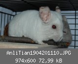 AnliTian1904201110.JPG