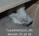 Tian1904201102.JPG