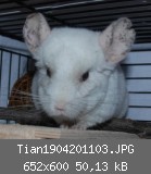 Tian1904201103.JPG