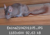 Emina2104201105.JPG