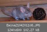 Emina2104201108.JPG