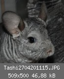 Tashi2704201115.JPG