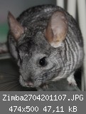 Zimba2704201107.JPG