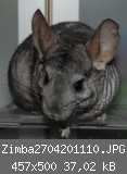 Zimba2704201110.JPG