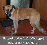 Widget0505201280003.jpg