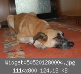 Widget0505201280004.jpg