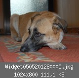 Widget0505201280005.jpg