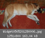 Widget0505201280006.jpg