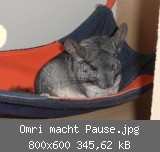 Omri macht Pause.jpg