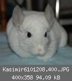 Kasimir6101208.400.JPG