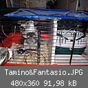 Tamino&Fantasio.JPG