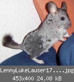 LennyLukeLauser17120701.jpg