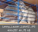 Lenny_Lauser_Luke02.JPG