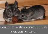 LouLoulinksGizmorechts1607201002.JPG