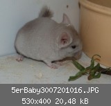 5erBaby3007201016.JPG