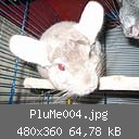 PluMe004.jpg