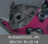 Nisha01201101.JPG