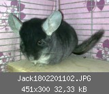 Jack1802201102.JPG
