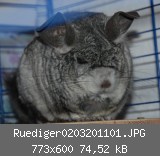 Ruediger0203201101.JPG