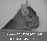 Eminasw2104201102.JPG