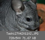 Tashi2704201102.JPG