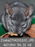 Zimba2704201102.JPG