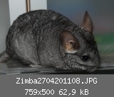 Zimba2704201108.JPG