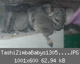 TashiZimbaBabys1305201101.JPG