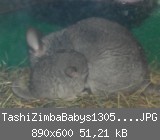 TashiZimbaBabys1305201107.JPG
