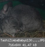 TashiZimbaBabys1305201110.JPG