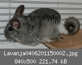 Lavanja0406201150002.jpg