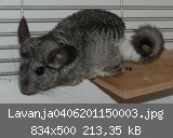 Lavanja0406201150003.jpg